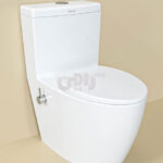توالت-فرنگی-چینی-کرد-مدل-آنتوریم4